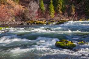 The Deschutes River-0965.jpg